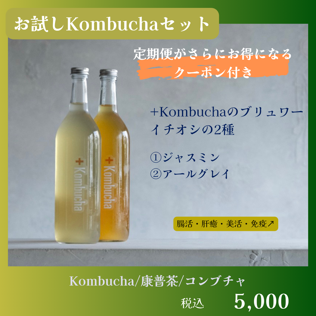 Kombuchaのオンラインショップ | 毎日腸快適、美味しいコンブチャ