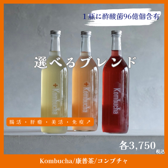 コンブチャのラインナップ | 毎日腸快適、美味しいコンブチャ｜酢酸菌