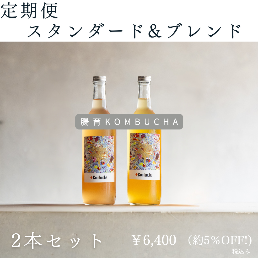 Kombuchaのオンラインショップ | 毎日腸快適、美味しいコンブチャ