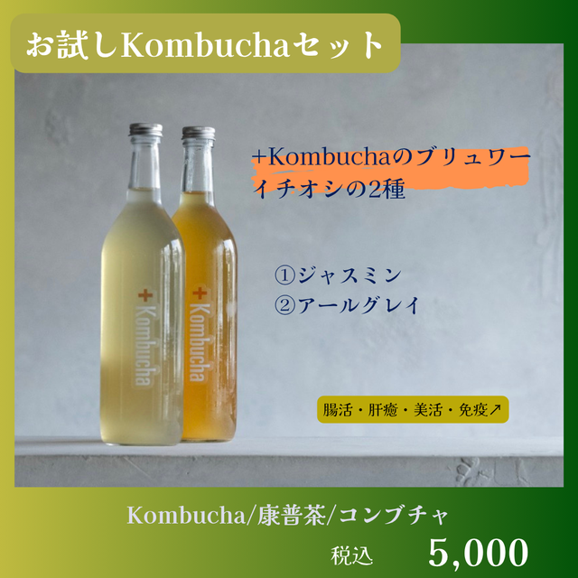コンブチャのラインナップ | 毎日腸快適、美味しいコンブチャ｜酢酸菌