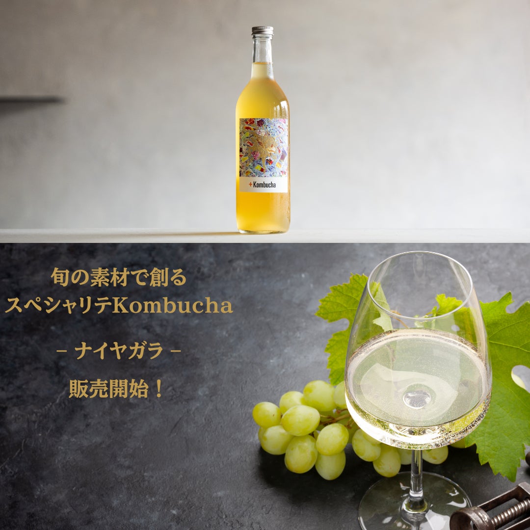 その他 Konbucha   Mana Bucha Brew Mango Kombucha | 7-Eleven