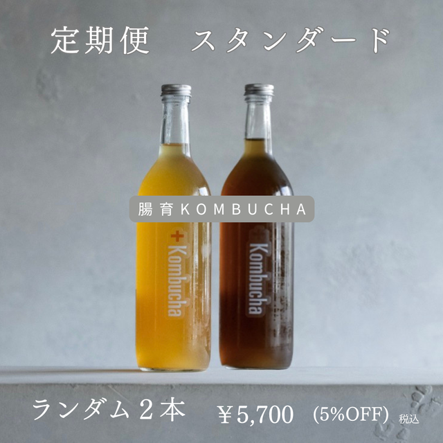 コンブチャのラインナップ | 毎日腸快適、美味しいコンブチャ｜酢酸菌